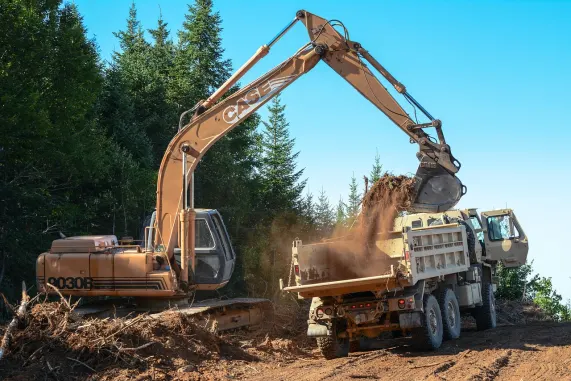 888Ladies Kazino Pagalba